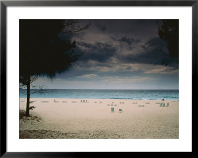 Empty Lounge Chairs Litter A Quiet Beach In Bermuda by Todd Gipstein Pricing Limited Edition Print image