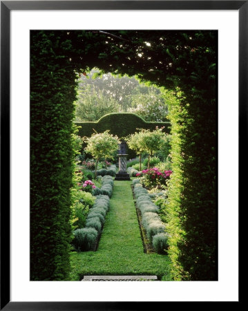 Arch Through Yew Hedge With View To Mixed Border Iris Foetidissima Marle Place by Sunniva Harte Pricing Limited Edition Print image