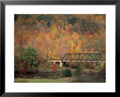 Central Bridges, Ny In The Fall by Mark Segal Pricing Limited Edition Print image