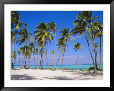 Dominican Republic, Punta Cana, West Indies by Jeremy Lightfoot Pricing Limited Edition Print image