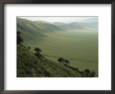 Looking Down Into Ngorongoro Crater, Tanzania, East Africa, Unesco World Heritage Site by Staffan Widstrand Pricing Limited Edition Print image