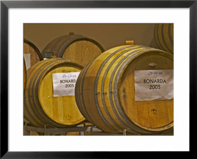 Oak Barrels, Bodega Del Anelo Winery, Finca Roja, Neuquen, Patagonia, Argentina by Per Karlsson Pricing Limited Edition Print image