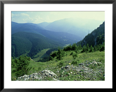 Nizke, View From Nature Reserve On Ohniste Plateau 1538M, Slovakia by Richard Packwood Pricing Limited Edition Print image