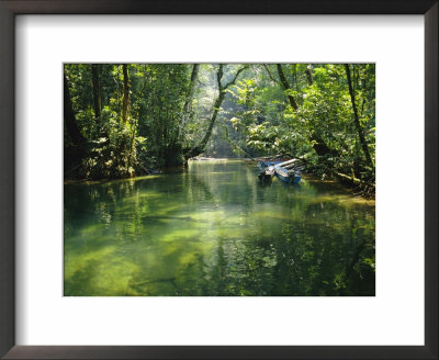 Longboats Moored In Creek Amid Rain Forest, Island Of Borneo, Malaysia by Richard Ashworth Pricing Limited Edition Print image