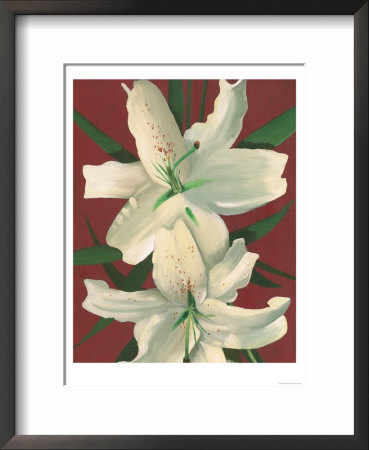 White Lily by Sophia Davidson Pricing Limited Edition Print image