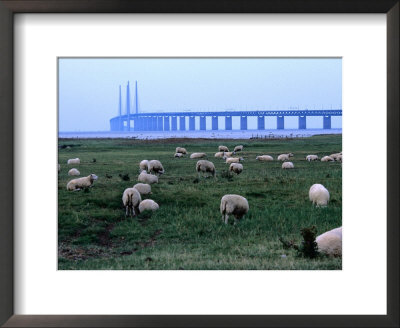 The New Oresund Bridge Between Malmo And Copenhagen From Bunkeflostrand, Malmo, Skane, Sweden by Anders Blomqvist Pricing Limited Edition Print image