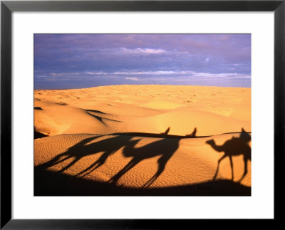 Camel Ride Shadows Across Sahara, Ksar Ghilane, Kebili, Tunisia by Christopher Groenhout Pricing Limited Edition Print image