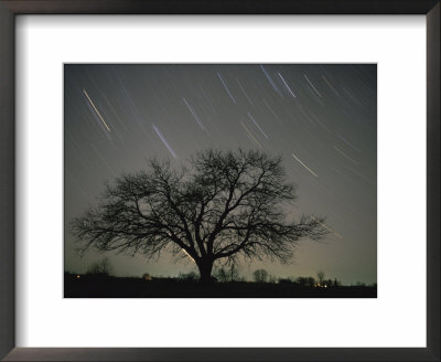 Star Trails, 20 Minutes Exposure Time, Pusztaszer, Hungary by Bence Mate Pricing Limited Edition Print image