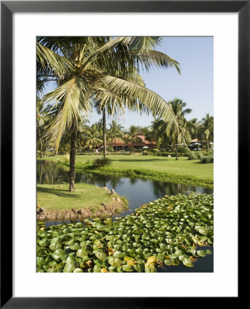 The Garden And Golf Course At The Leela Hotel, Mobor, Goa, India by R H Productions Pricing Limited Edition Print image