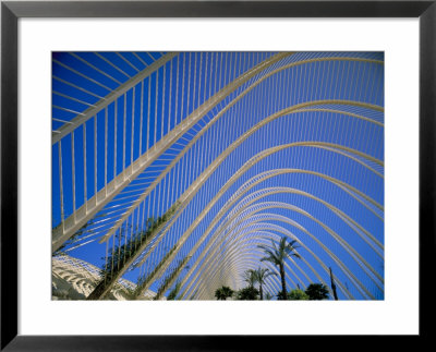 Umbracle, City Of Arts And Sciences, Architect Santiago Calatrava, Valencia, Spain by Marco Simoni Pricing Limited Edition Print image
