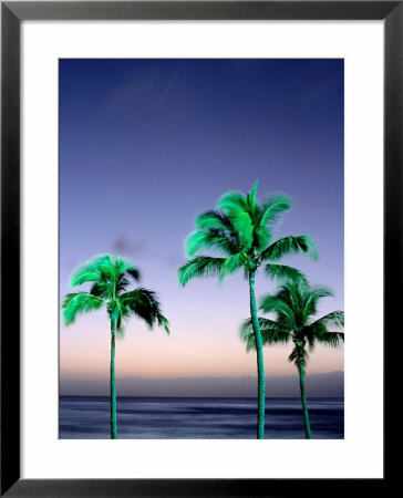 Palms At Dusk, Poipu, Usa by Holger Leue Pricing Limited Edition Print image