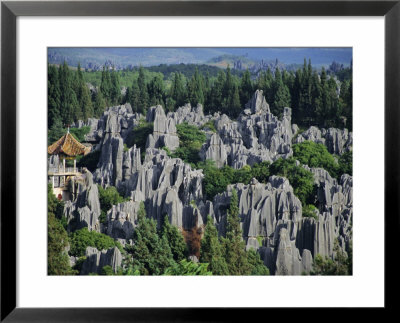 Limestone Pinnacles In Shilin, Stone Forest, At Lunan, Yunnan, China by Anthony Waltham Pricing Limited Edition Print image