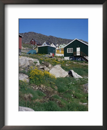 Julianehab, Greenland, Polar Regions by David Lomax Pricing Limited Edition Print image