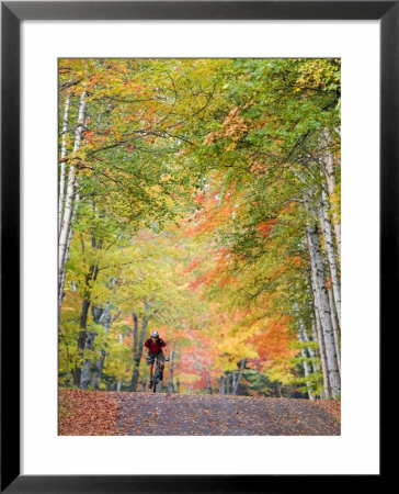Mountain Biker On Forest Road Near Copper Harbor, Michigan, Usa by Chuck Haney Pricing Limited Edition Print image