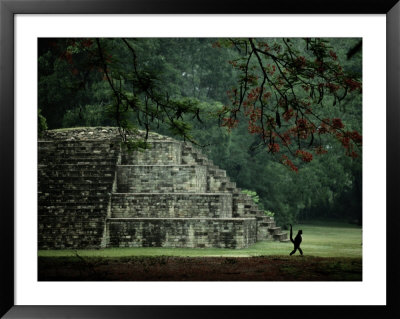 A Spider-Monkey Strolls Past A Small Pyramid by Kenneth Garrett Pricing Limited Edition Print image