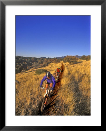 Mountain Bikers On The Arizona Trail, Usa by Chuck Haney Pricing Limited Edition Print image
