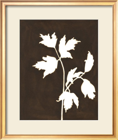 Four Seasons Foliage Iv by Megan Meagher Pricing Limited Edition Print image