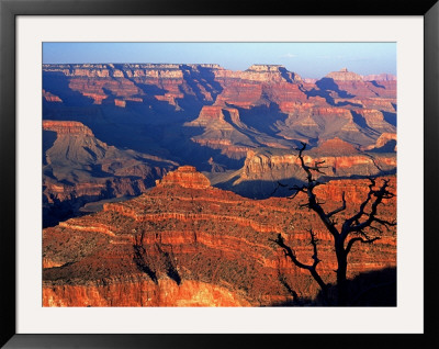 Grand Canyon From South Rim Near Yavapai Point, Grand Canyon National Park, Arizona by David Tomlinson Pricing Limited Edition Print image