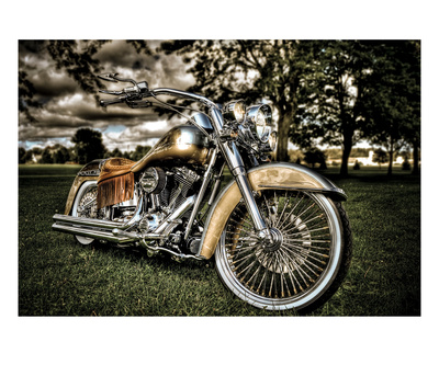 Harley by Stephen Arens Pricing Limited Edition Print image