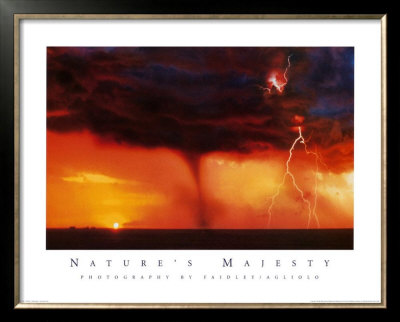 Nature's Majesty, Tornado by Warren Faidley Pricing Limited Edition Print image