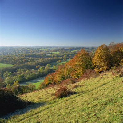View From North Downs, Dorking, Surrey, England, United Kingdom, Europe by John Miller Pricing Limited Edition Print image