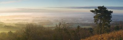 Misty Winter Sunrise From Leith Hill, North Downs, Surrey, England, United Kingdom, Europe by John Miller Pricing Limited Edition Print image