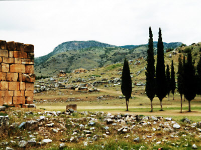 Stone Ruins And Stand Of Trees In Barren Landscape With Mountains, Pamukkale, Turkey by Ilona Wellmann Pricing Limited Edition Print image