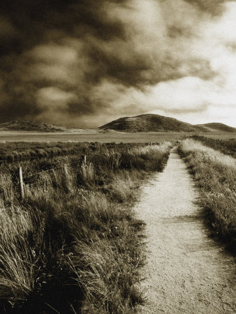 Path, Pt. Reyes, California, Usa by Bob Cornelis Pricing Limited Edition Print image