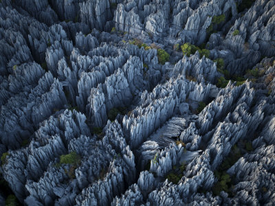 Limestone Pinnacles Rise In Western Madagascar by Stephen Alvarez Pricing Limited Edition Print image