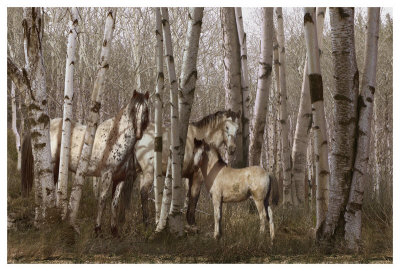 Birchwood Family by Steve Hunziker Pricing Limited Edition Print image