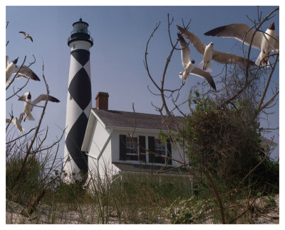 Cape Lookout I by Steve Hunziker Pricing Limited Edition Print image