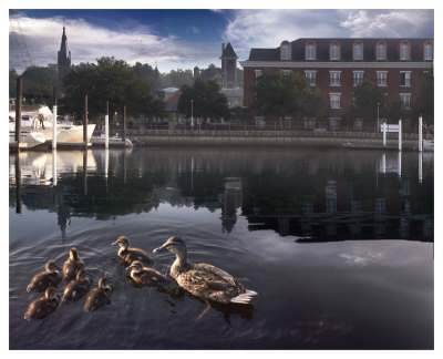 New Born Crossing by Steve Hunziker Pricing Limited Edition Print image