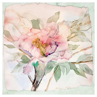 Peony by Sharon Pitts Pricing Limited Edition Print image