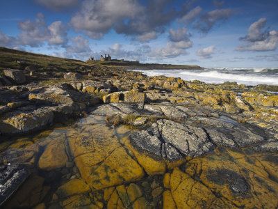 Rockpools Near Dunstanburgh Castle, Dunstanburgh, Northumberland, England, United Kingdom, Europe by Adam Burton Pricing Limited Edition Print image