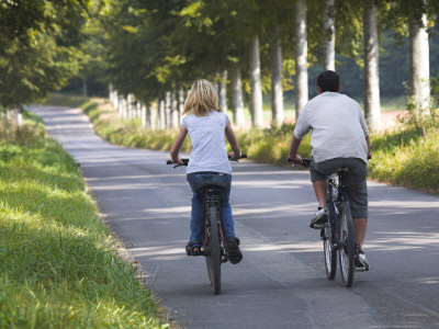 Cyclists On A Dorset Country Road, Moor Crichel, Dorset, England, United Kingdom, Europe by Adam Burton Pricing Limited Edition Print image