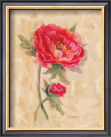 Spicy Poppies by Carol Rowan Pricing Limited Edition Print image