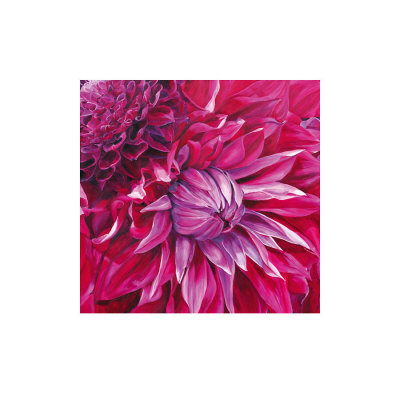 Fabulous Pink Dahlias by Sarah Caswell Pricing Limited Edition Print image