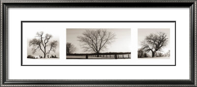The Long Fence by Andrea White Pricing Limited Edition Print image