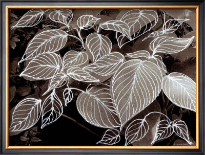 Sepia Hosta Ii by Francine Funke Pricing Limited Edition Print image