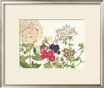 Japanese Flower Garden Ii by Konan Tanigami Pricing Limited Edition Print image