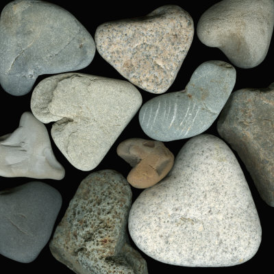 A Collage Of Heart-Shaped Beach Stones by Josie Iselin Pricing Limited Edition Print image