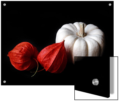 Seed Pod And Pumpkin by I.W. Pricing Limited Edition Print image