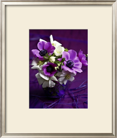 Les Anemones by Catherine Beyler Pricing Limited Edition Print image