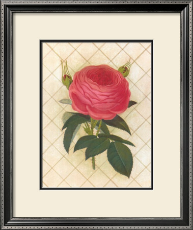 Trellis Rose Ii by Susan Davies Pricing Limited Edition Print image