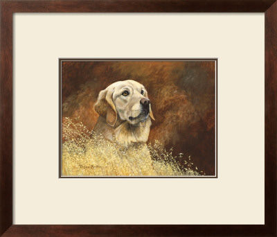 Golden Labrador by Richard Britton Pricing Limited Edition Print image