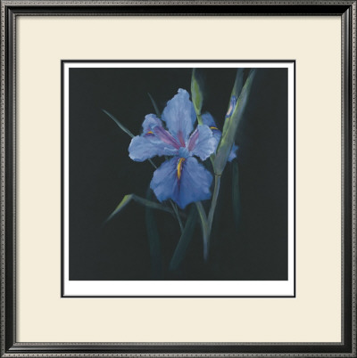 Floral Suite Ii by Rose Hohenberger Pricing Limited Edition Print image
