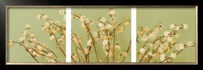 Lily Of The Valley Triptych by June Hunter Pricing Limited Edition Print image