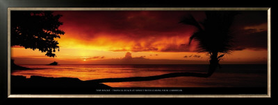 Tropical Beach At Sunset With Leaning Palm, Caribbean by Tom Mackie Pricing Limited Edition Print image