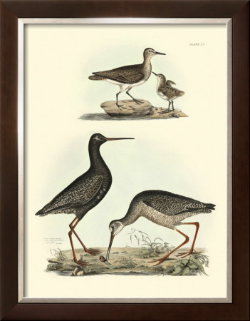 Selby Sandpipers I by John Selby Pricing Limited Edition Print image
