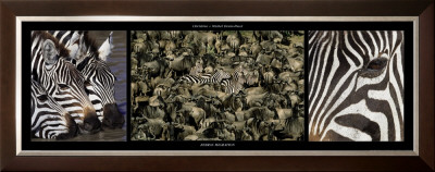 Zebras Migration by Michel & Christine Denis-Huot Pricing Limited Edition Print image